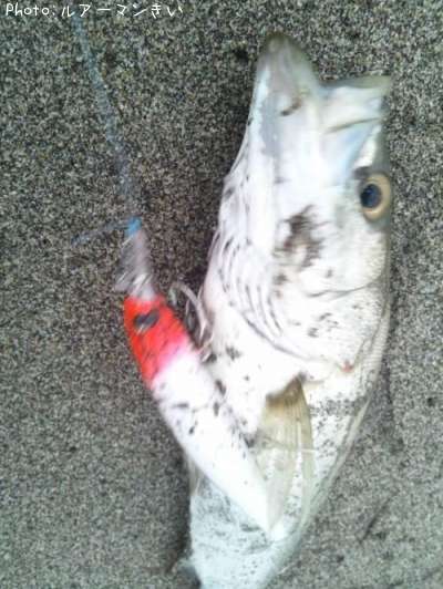 �����Х�