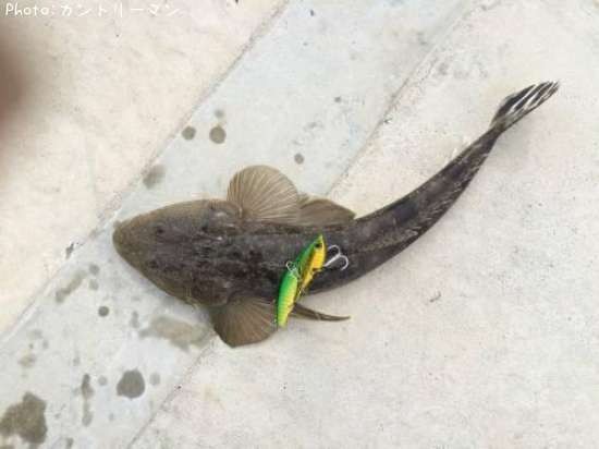 �ޥ���