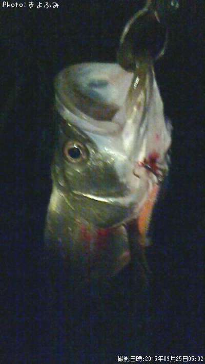 �����Х�