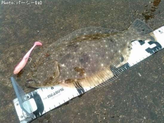 �ҥ��ʥ�����