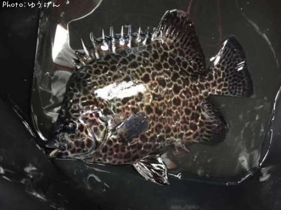 ������������