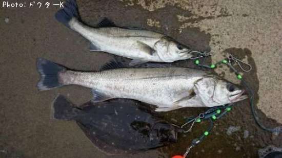 �����Х�