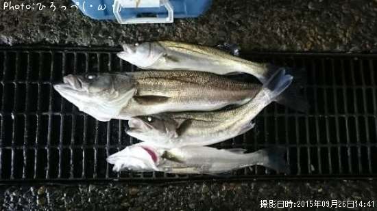 �����Х�