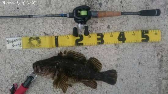 �����Υ���Х�