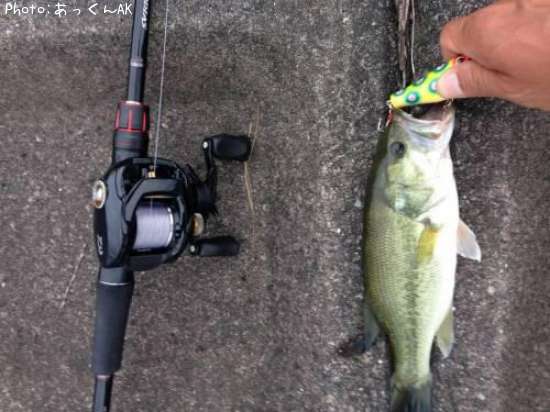 �֥�å��Х�