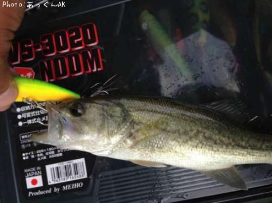 �֥�å��Х�