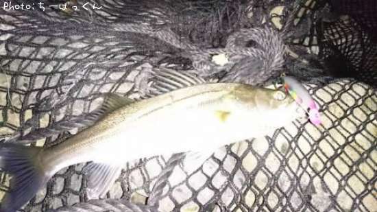 �����Х�