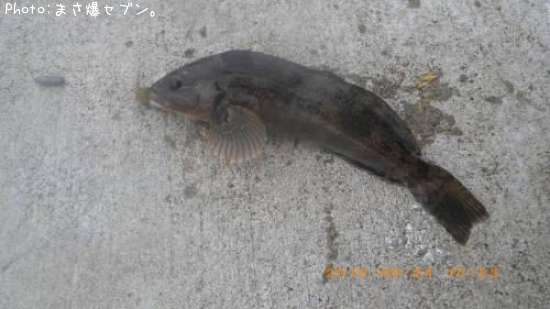 �����ʥ�