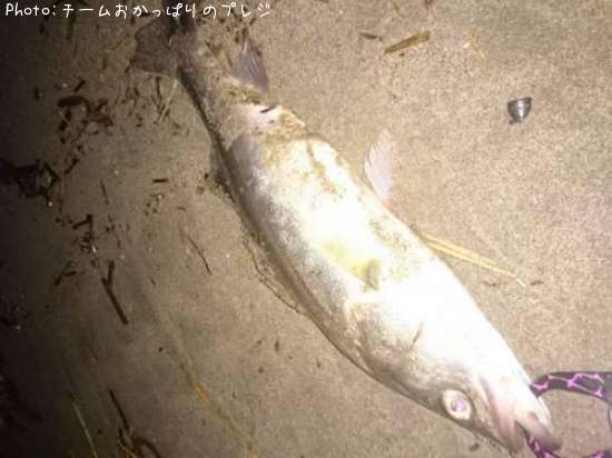 �����Х�