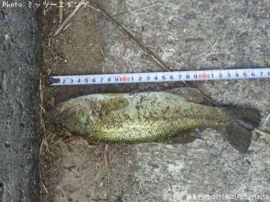 �֥�å��Х�