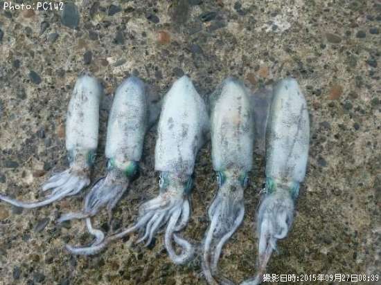 �����ꥤ��