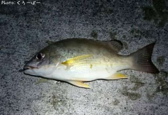 �����ե�����