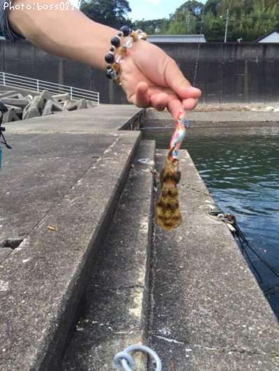 �����ꥤ��