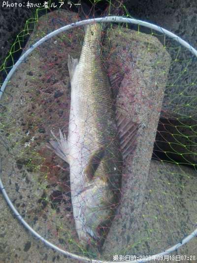 �����Х�