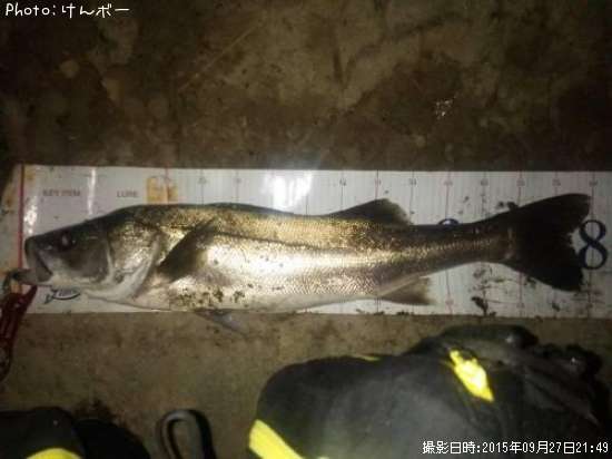 �����Х�