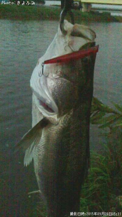 �����Х�