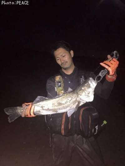 �����Х�