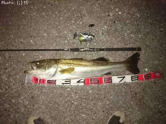 �����Х�