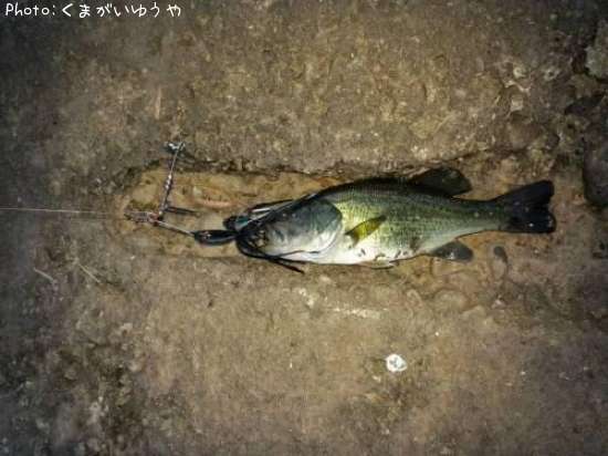 �顼���ޥ���