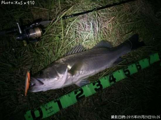 �����Х�