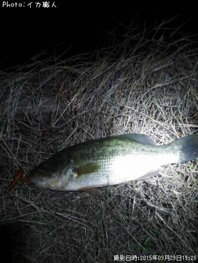 �֥�å��Х�