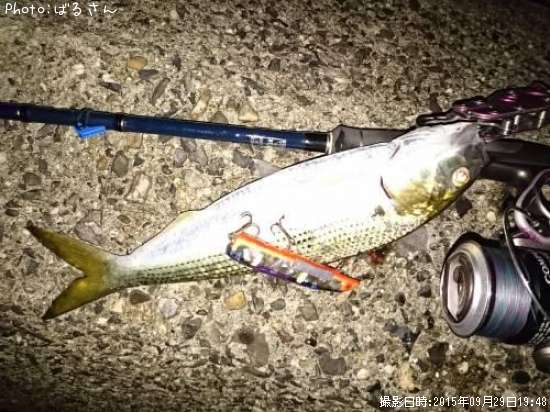 ���Υ���