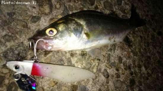 �����Х�