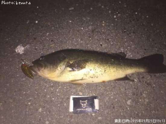 �֥�å��Х�