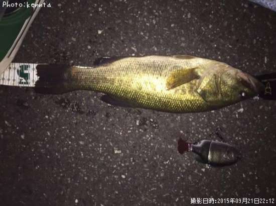 �֥�å��Х�