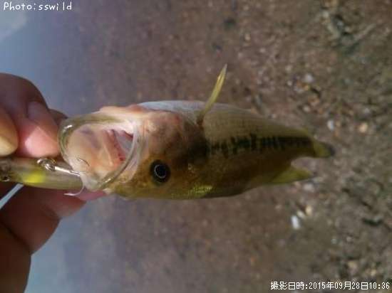 �֥�å��Х�