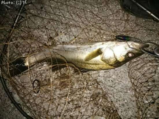 �����Х�