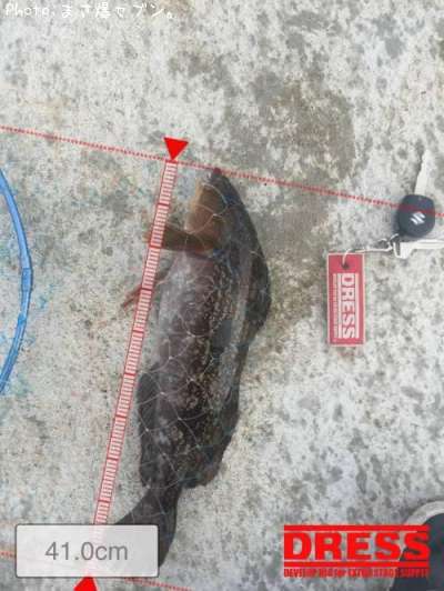 �����ʥ�