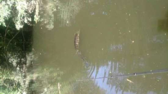 �֥�å��Х���