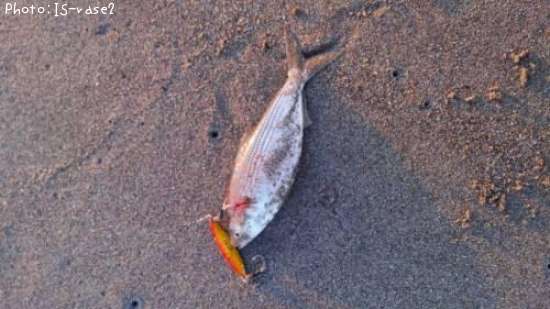 ���Υ���