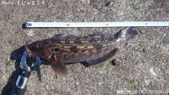 �����ʥ�