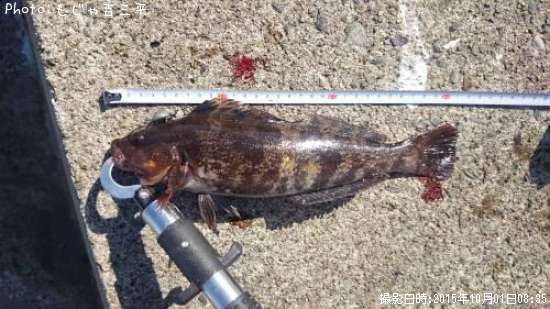 �����ʥ�