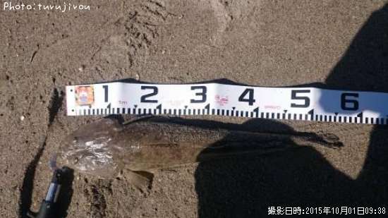 ���ޥ���