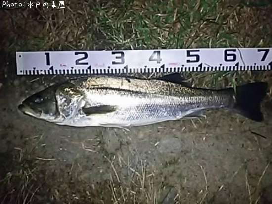 �����Х�