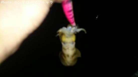 �����ꥤ��