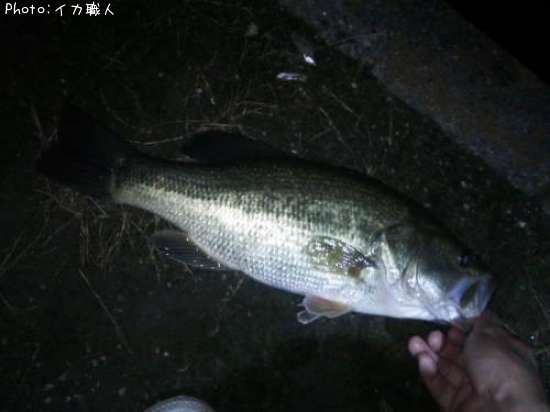 �֥�å��Х�