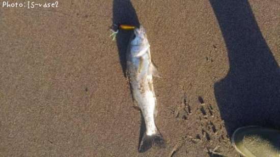 �����Х�