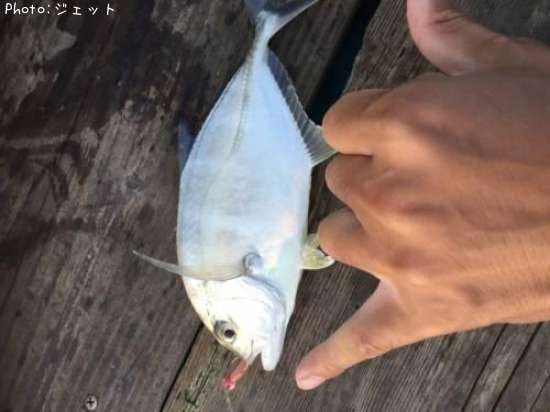 ��å�
