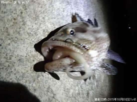 �����顼�ߡ��Х��ڥޥ���ϥ���