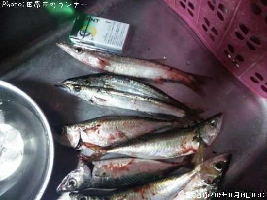 ���ޥ�������