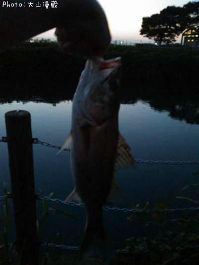 �����Х�