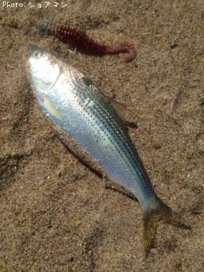 ���Υ���