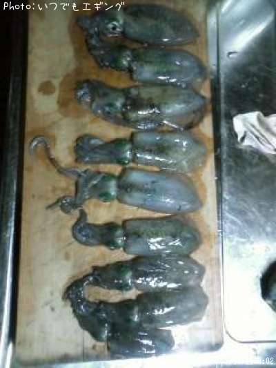 �����ꥤ��