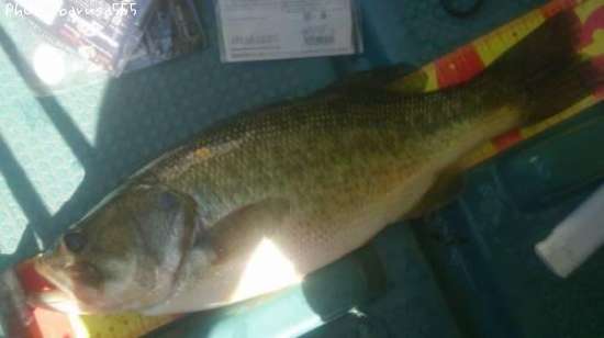 �֥�å��Х�