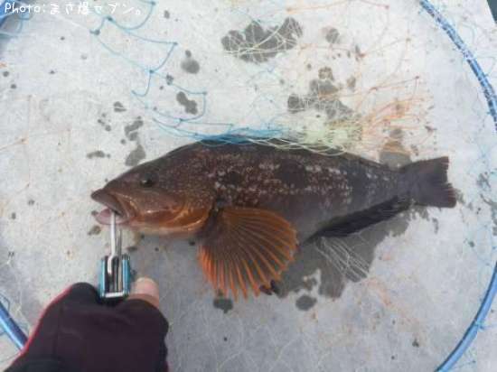 �����ʥ�