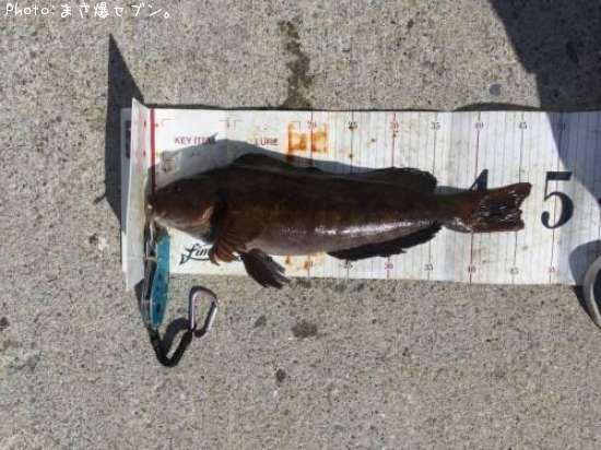 �����ʥ�